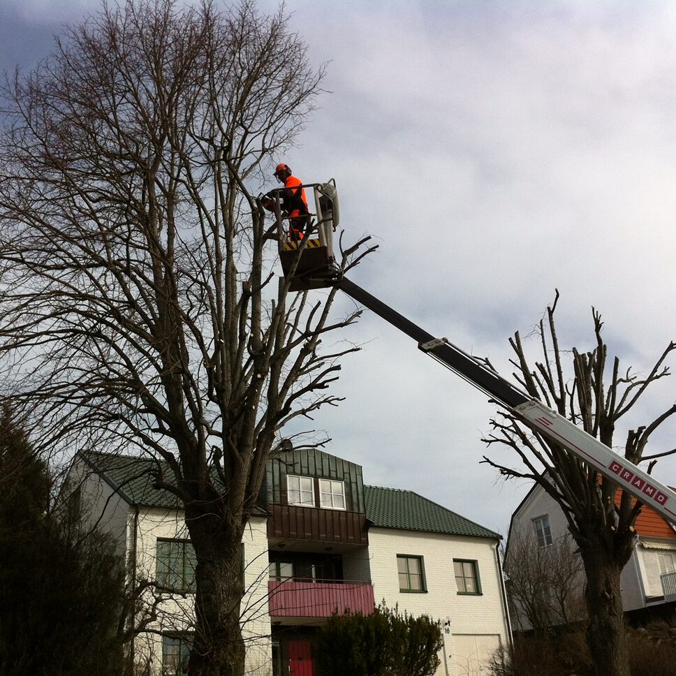 bild02 bild02